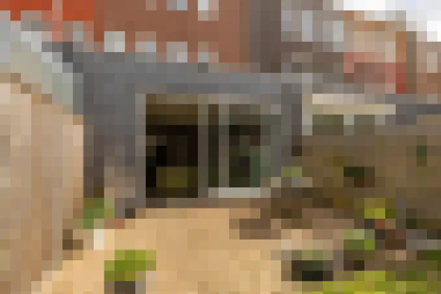 Coranthijnestraat 10 Groningen thumbnail 33