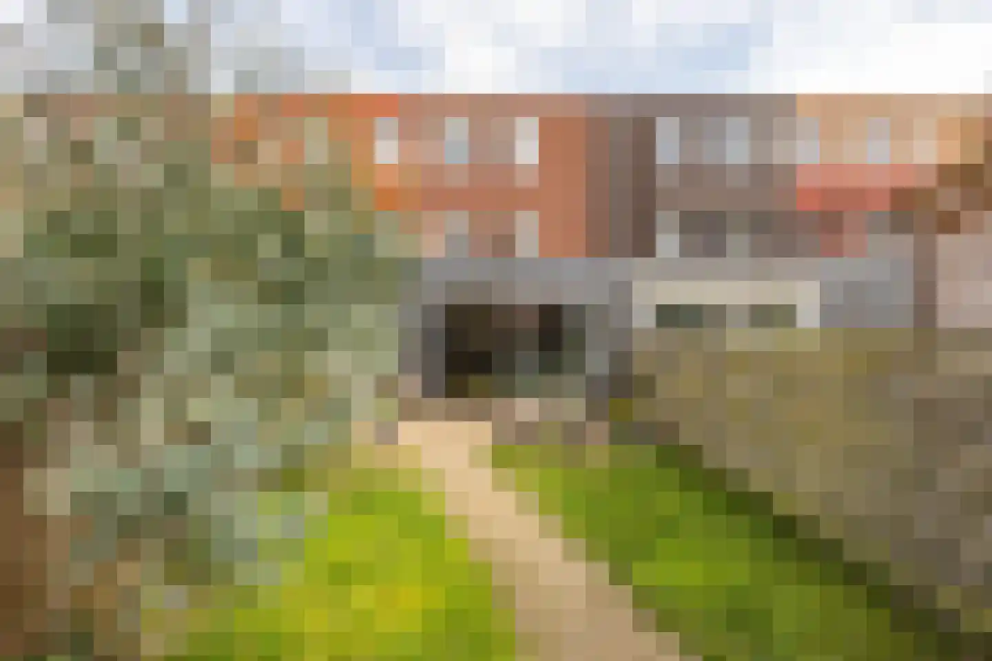 Coranthijnestraat 10 Groningen thumbnail 34