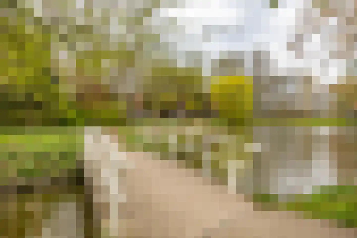 Coranthijnestraat 10 Groningen thumbnail 37
