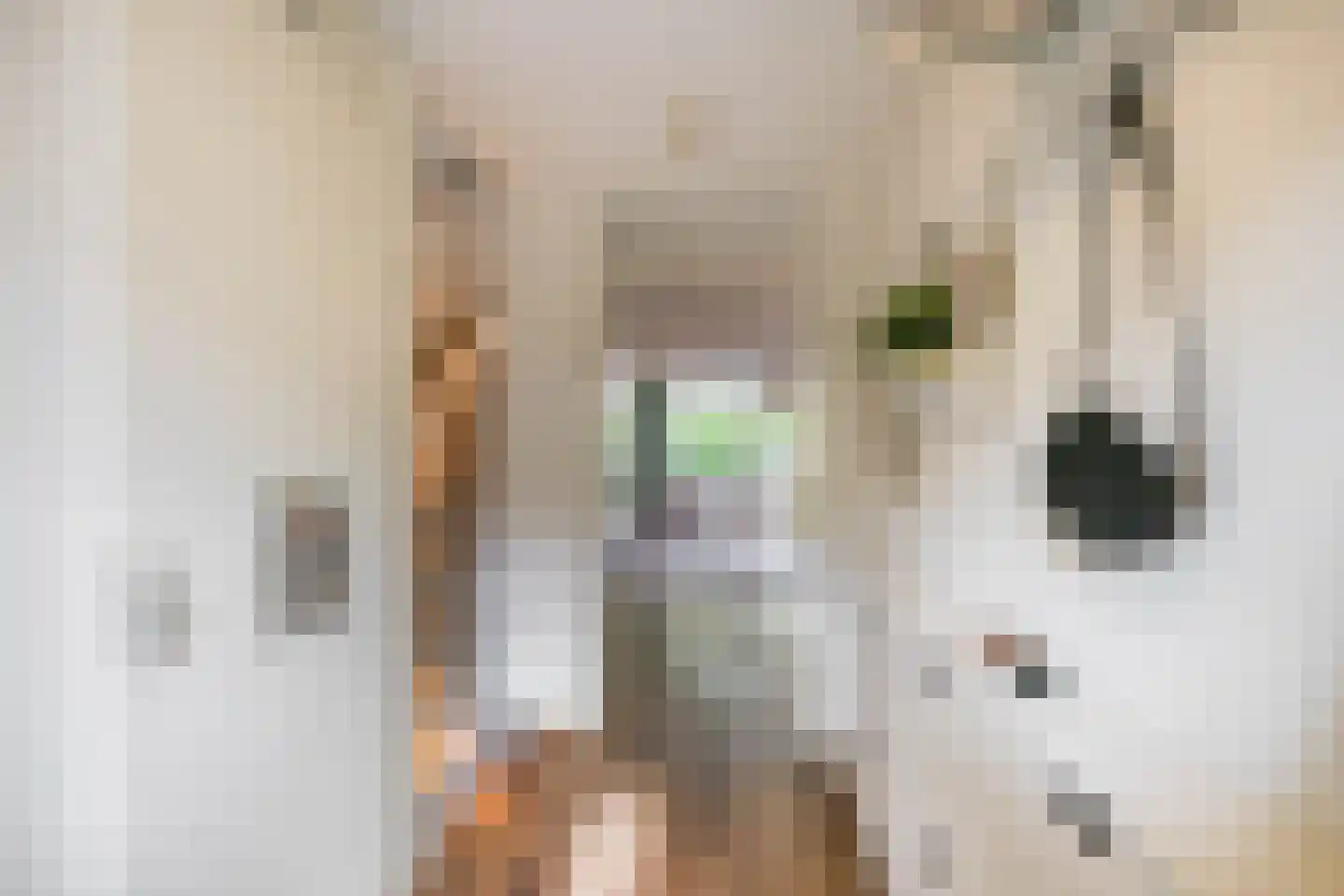 Coranthijnestraat 14 Groningen thumbnail 12