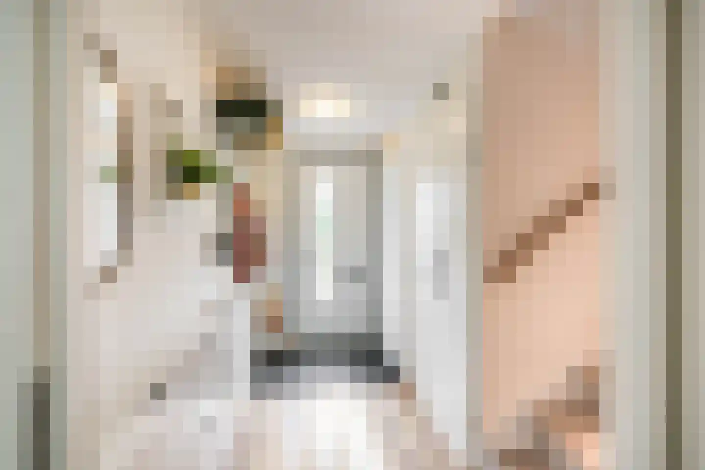 Coranthijnestraat 14 Groningen thumbnail 13