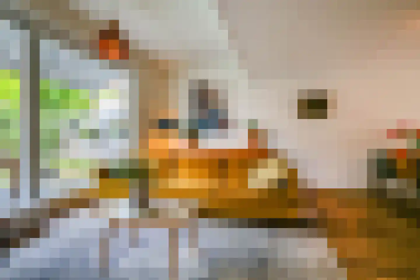 Coranthijnestraat 14 Groningen thumbnail 23