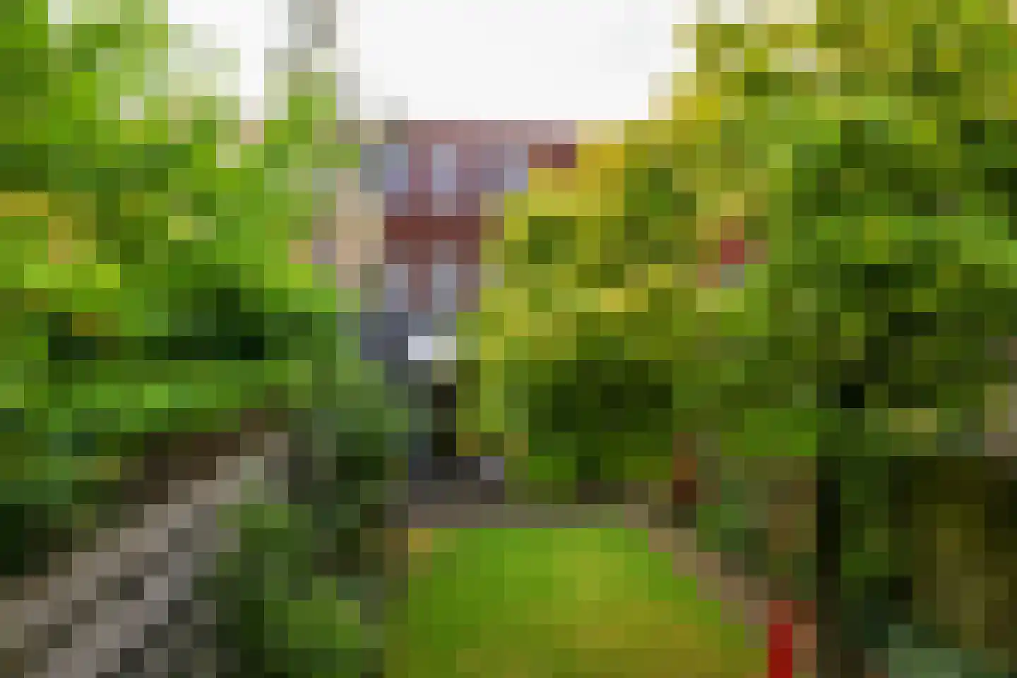 Coranthijnestraat 14 Groningen thumbnail 28
