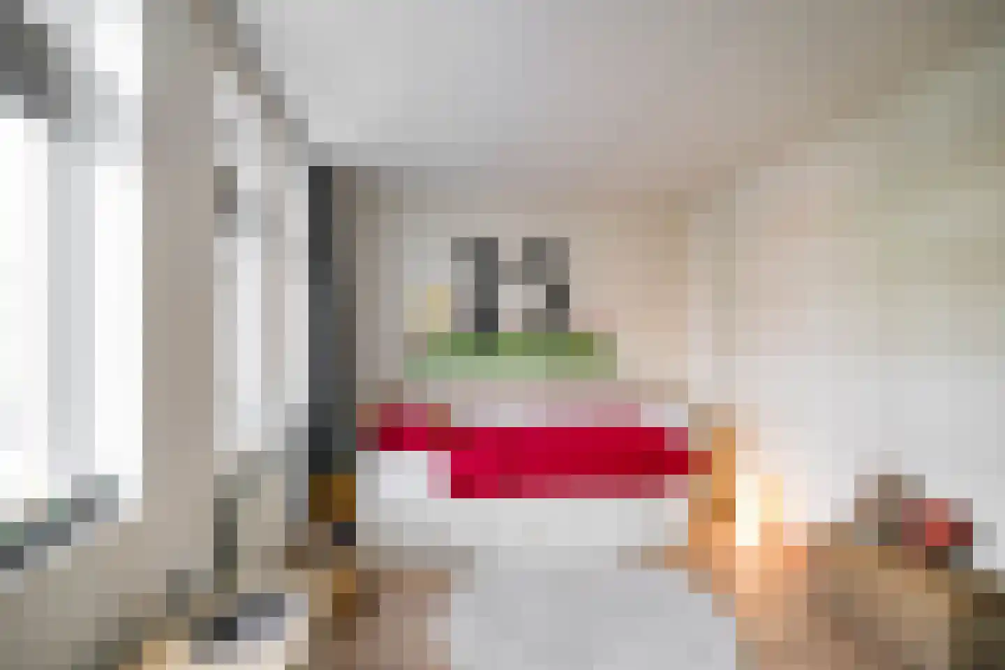 Coranthijnestraat 14 Groningen thumbnail 33