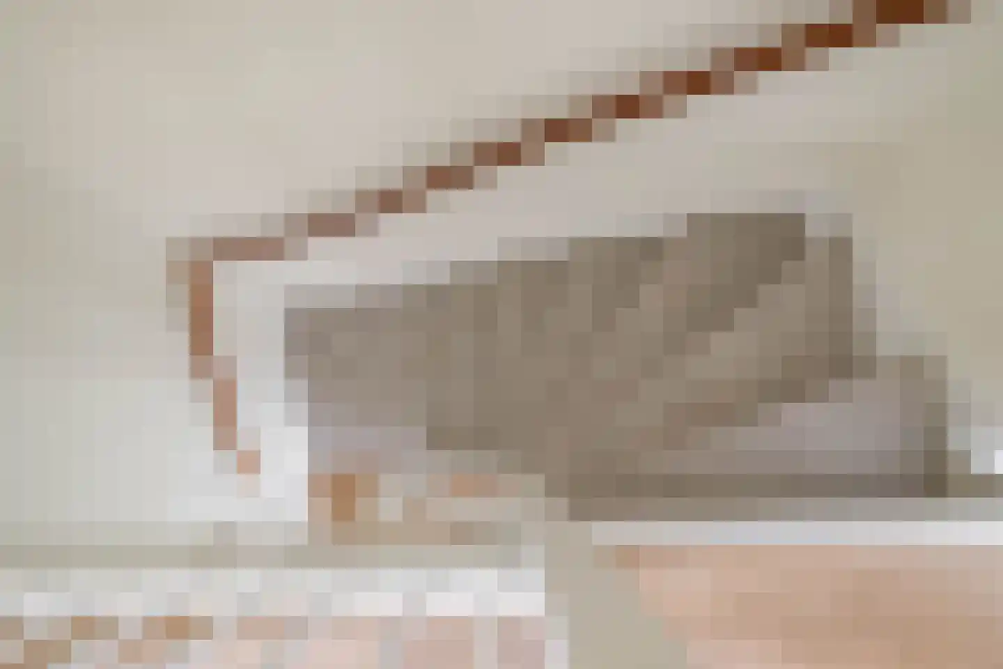 Coranthijnestraat 14 Groningen thumbnail 37