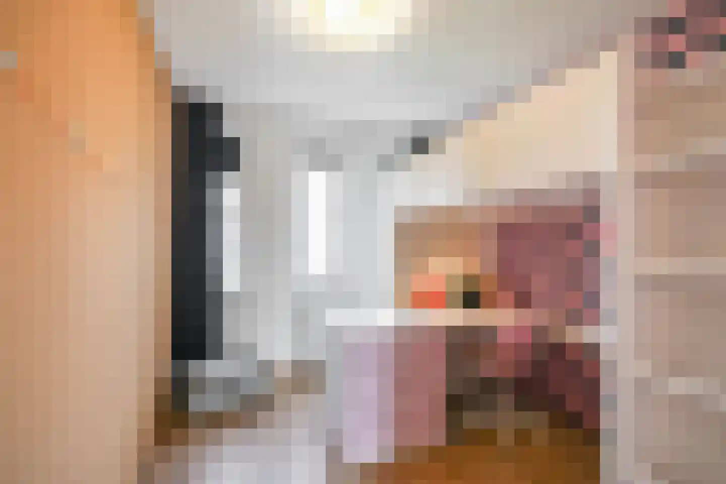 Coranthijnestraat 14 Groningen thumbnail 42