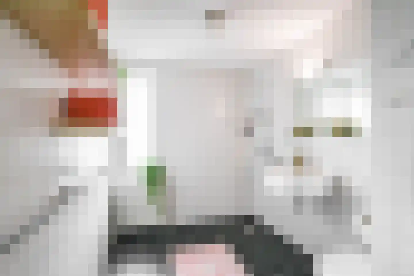 Coranthijnestraat 14 Groningen thumbnail 6