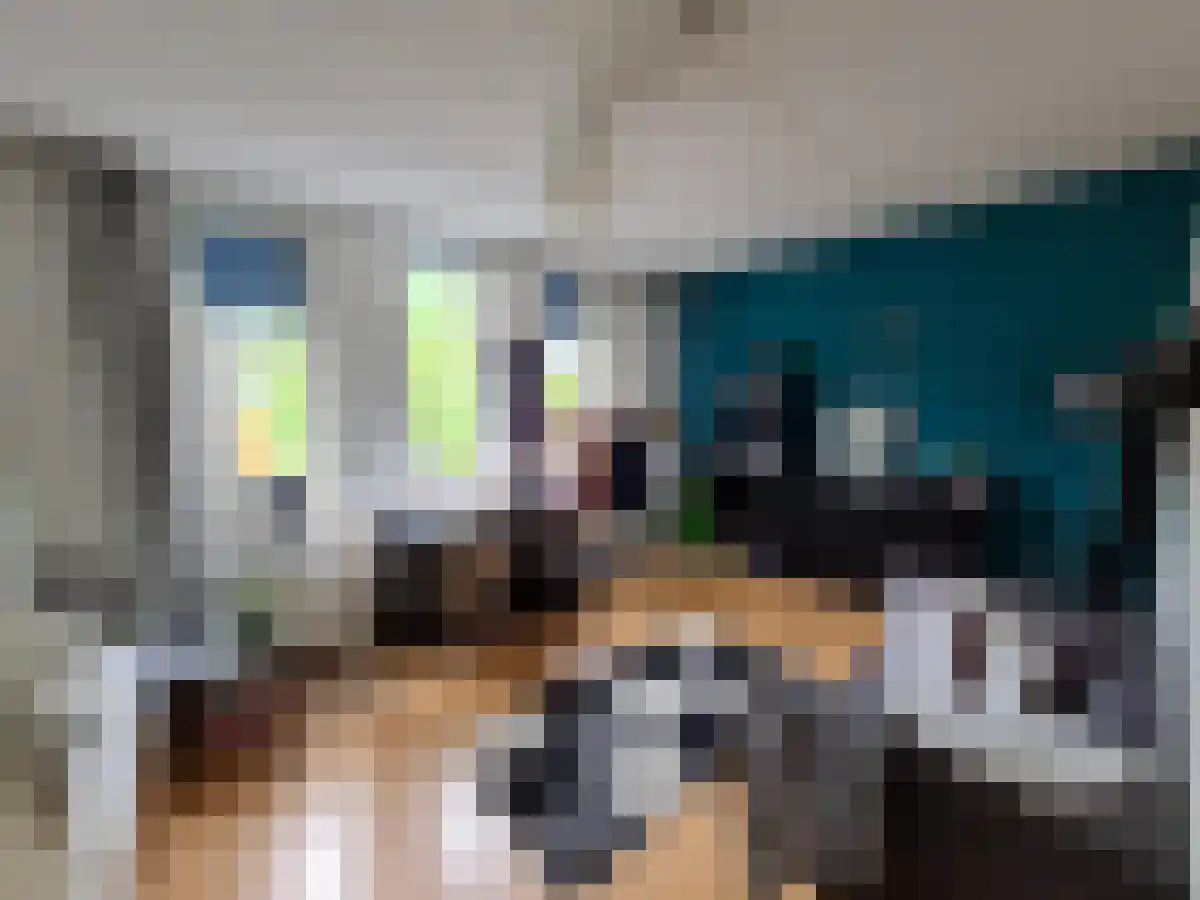 Coranthijnestraat Groningen thumbnail 4