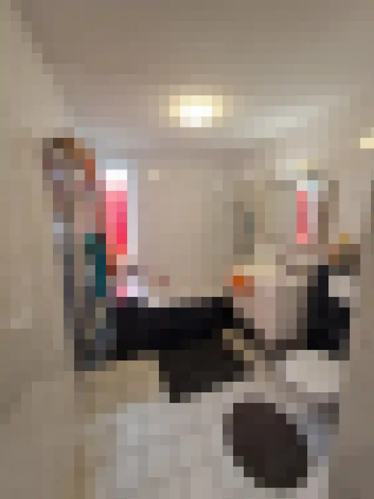 Coranthijnestraat Groningen thumbnail 6