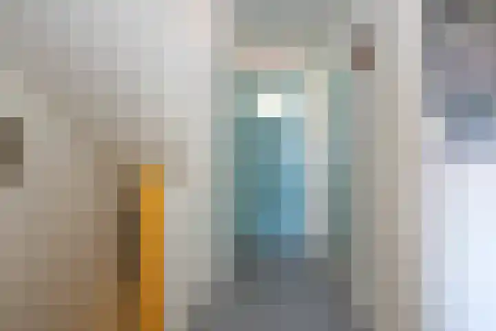 Corantijnstraat 24 Santpoort-Noord thumbnail 24