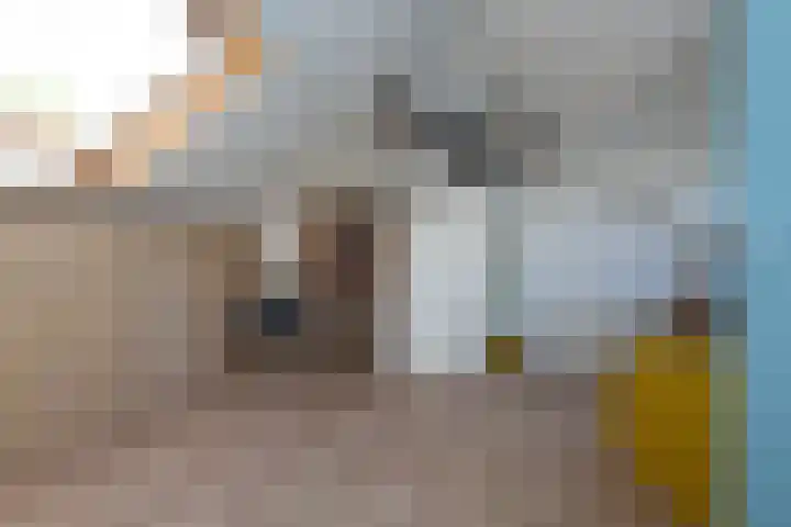 Corantijnstraat 24 Santpoort-Noord thumbnail 39