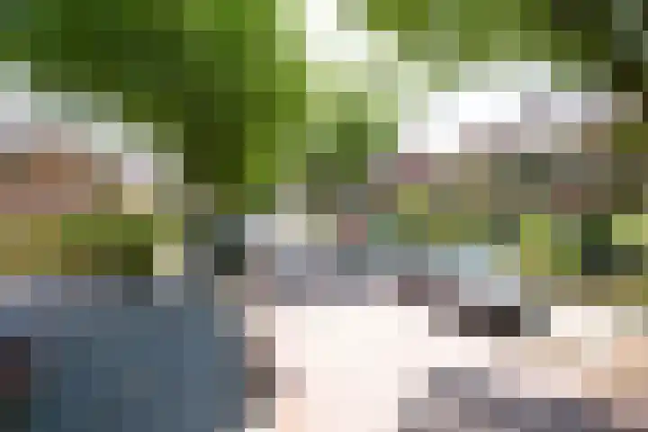 Corantijnstraat 24 Santpoort-Noord thumbnail 7