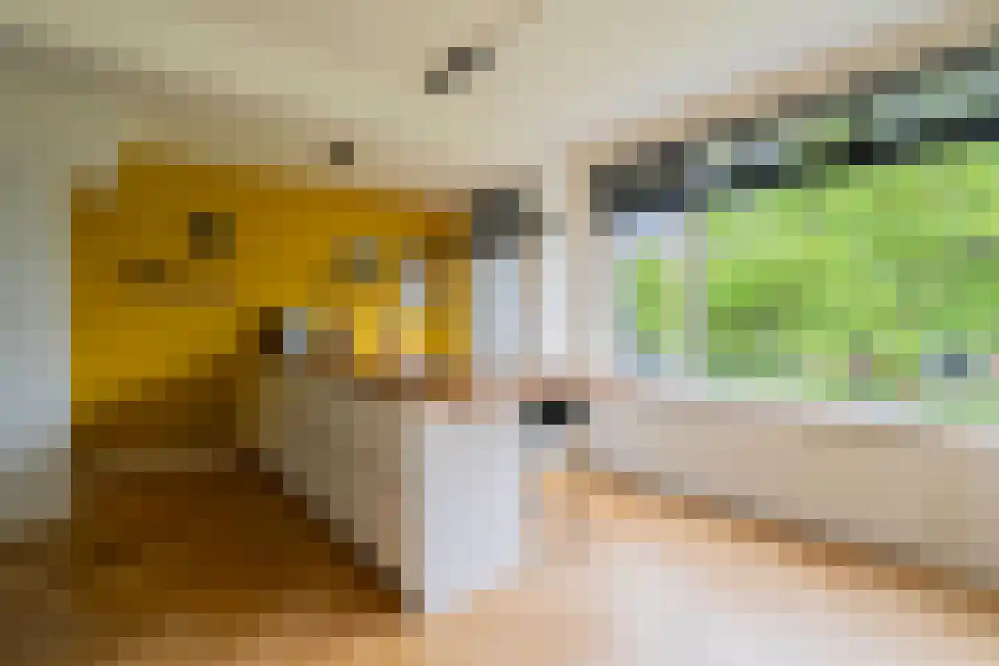 Corantijnstraat 3 Santpoort-Noord thumbnail 14
