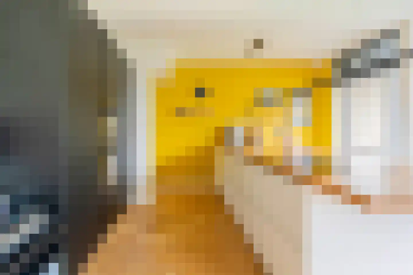 Corantijnstraat 3 Santpoort-Noord thumbnail 18