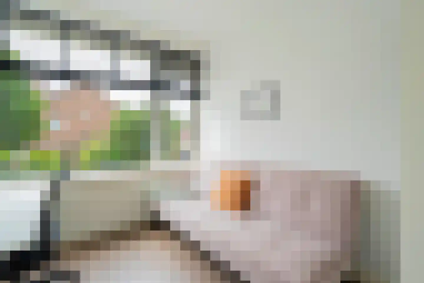 Corantijnstraat 3 Santpoort-Noord thumbnail 25