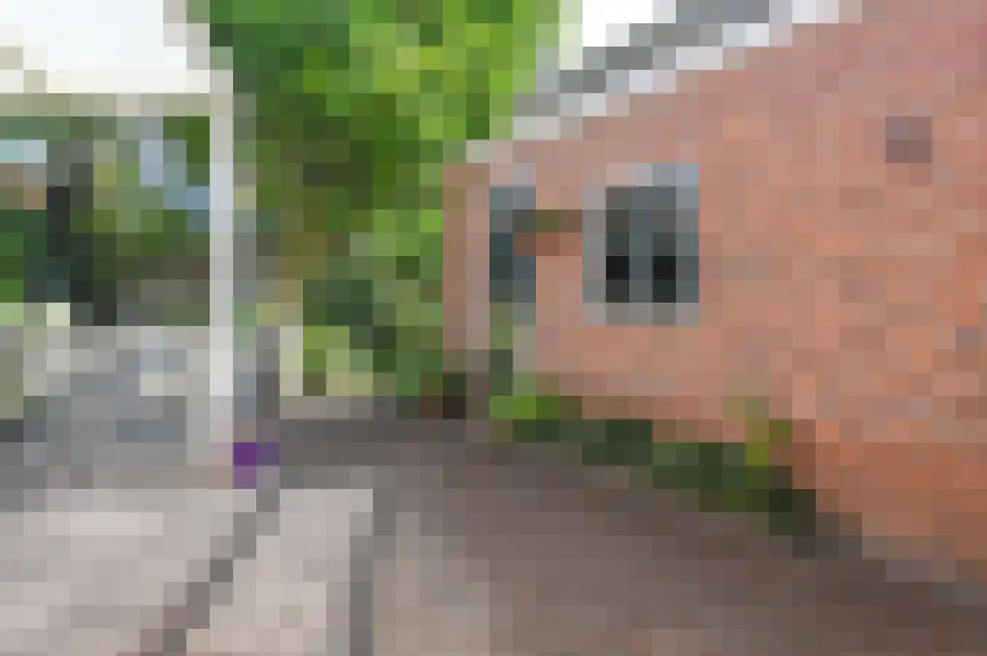 Corantijnstraat 39 Santpoort-Noord thumbnail 32