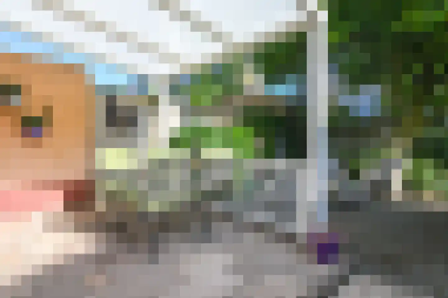 Corantijnstraat 39 Santpoort-Noord thumbnail 36