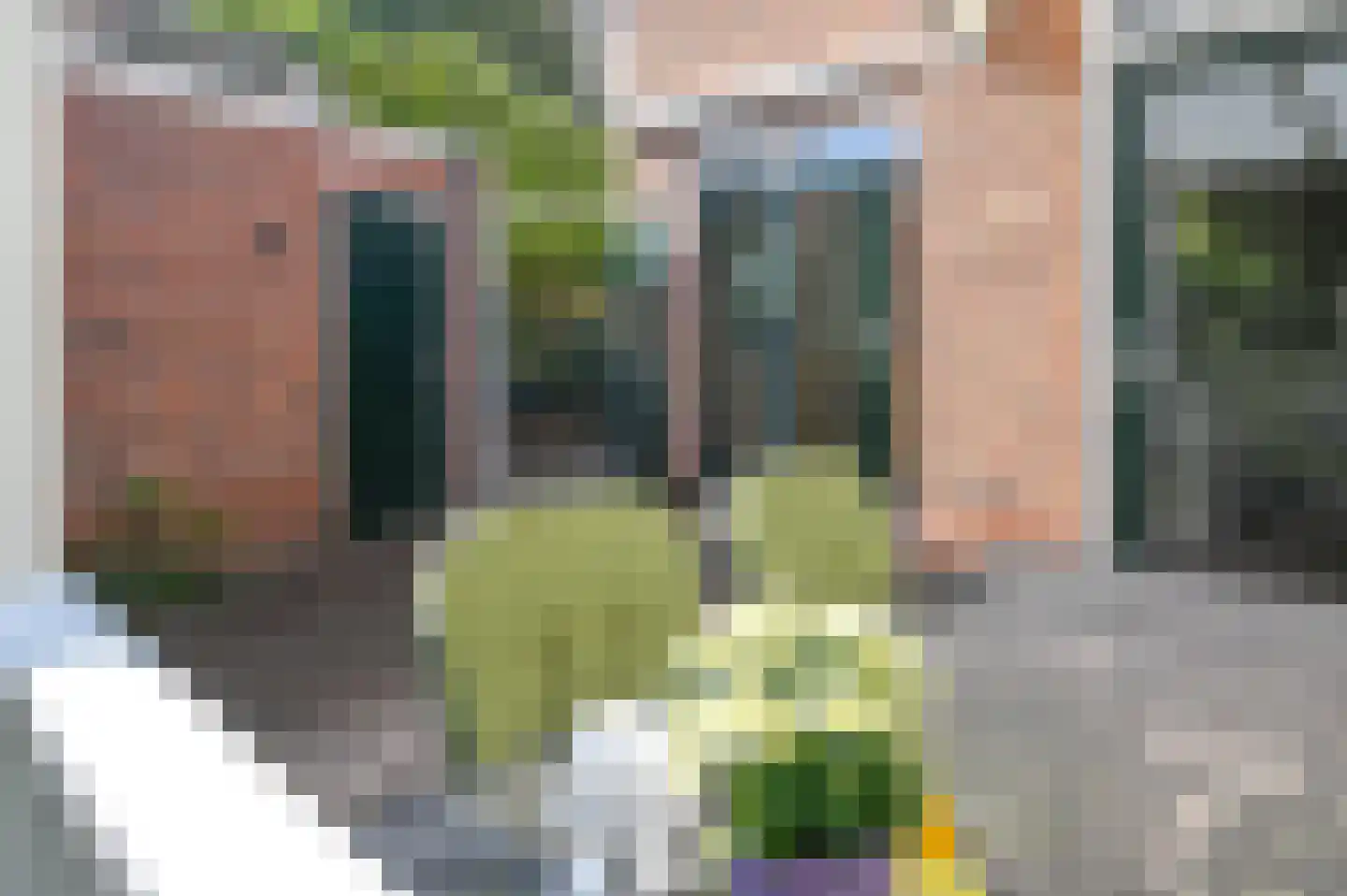Corantijnstraat 39 Santpoort-Noord thumbnail 41