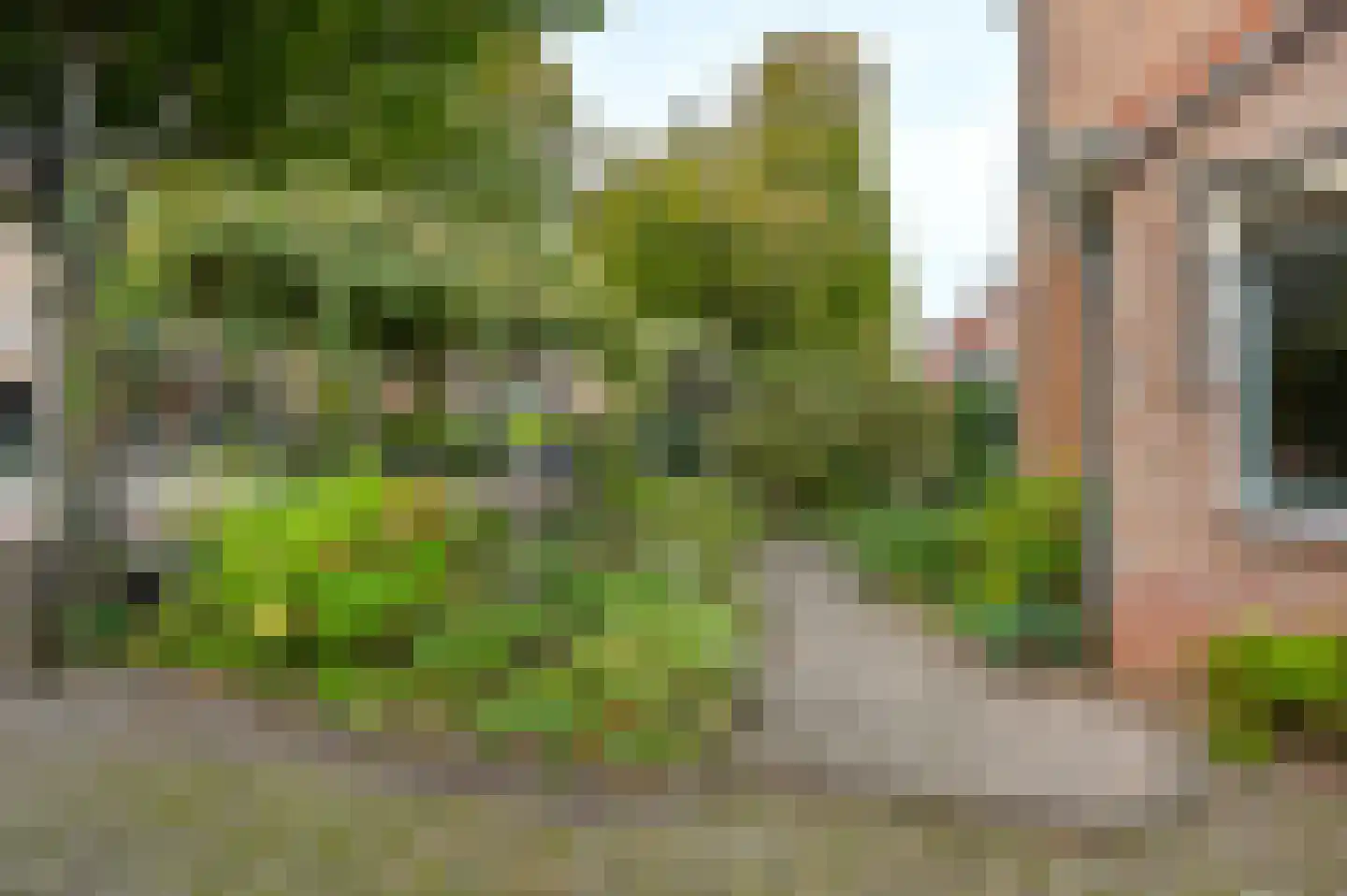 Corantijnstraat 39 Santpoort-Noord thumbnail 48