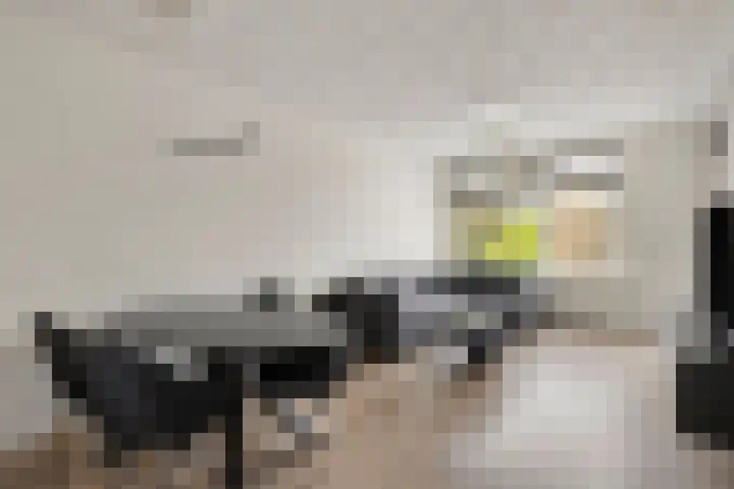 Corantijnstraat 4 Leiden thumbnail 4