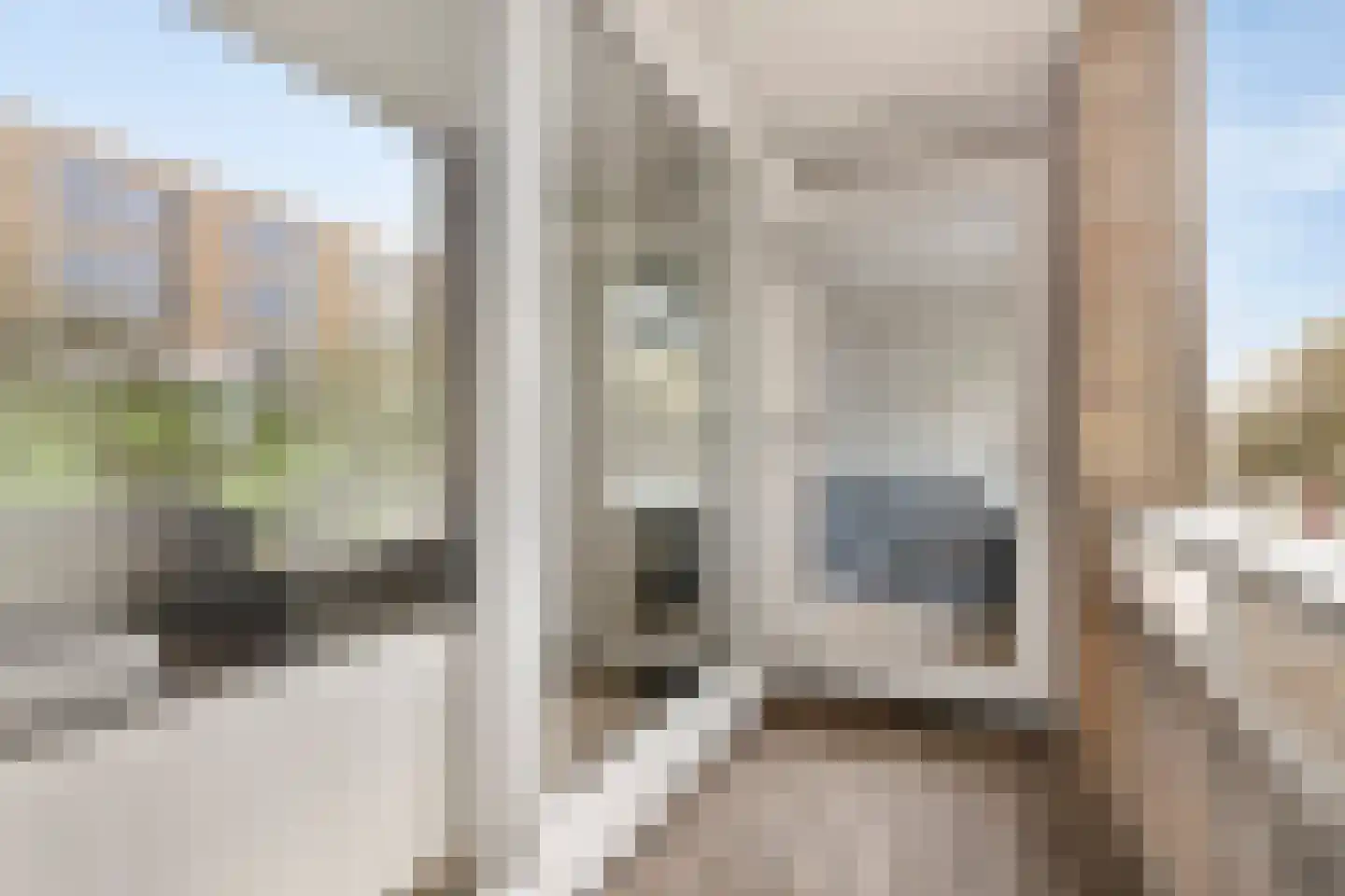 Corantijnstraat 4 Leiden thumbnail 7