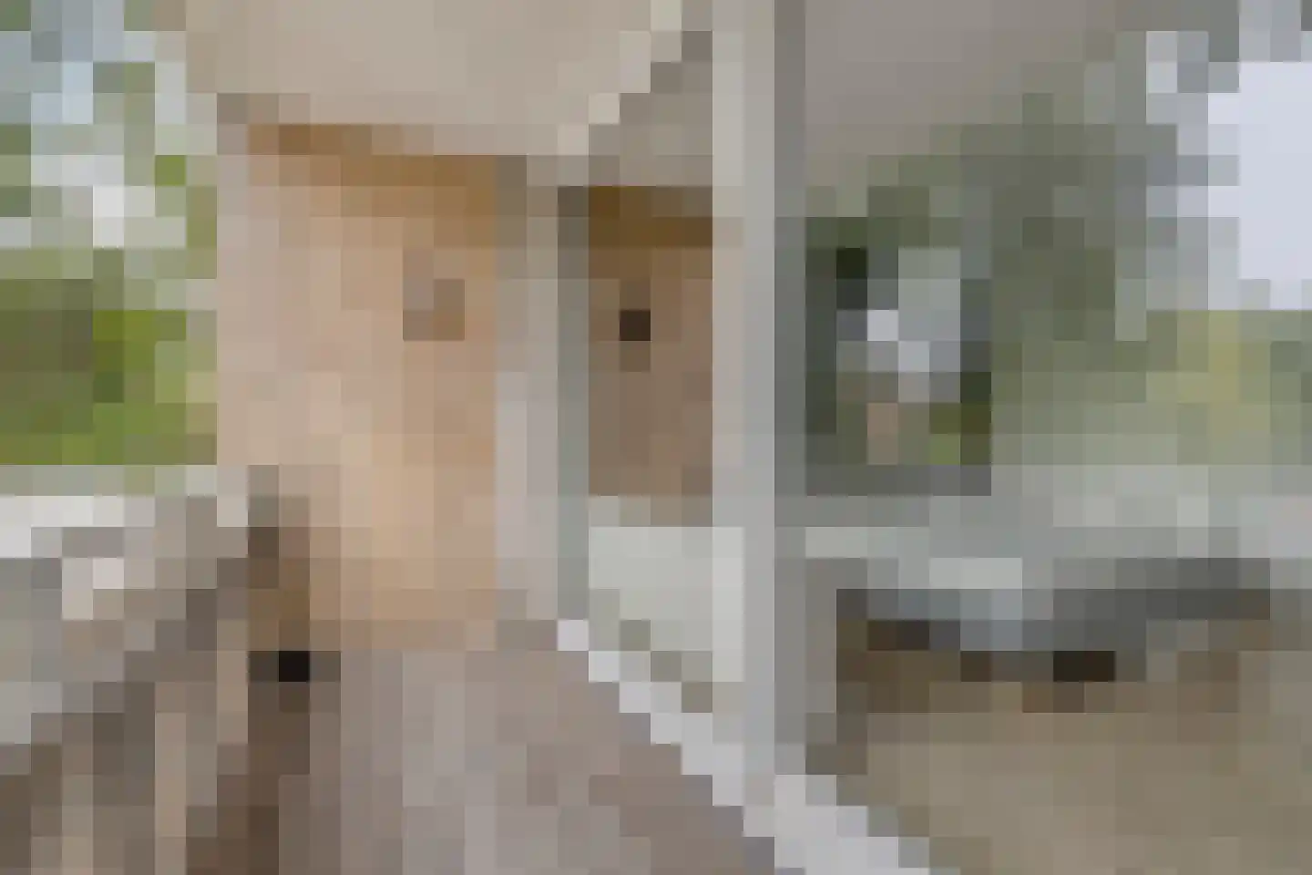 Corantijnstraat 4 Leiden thumbnail 8