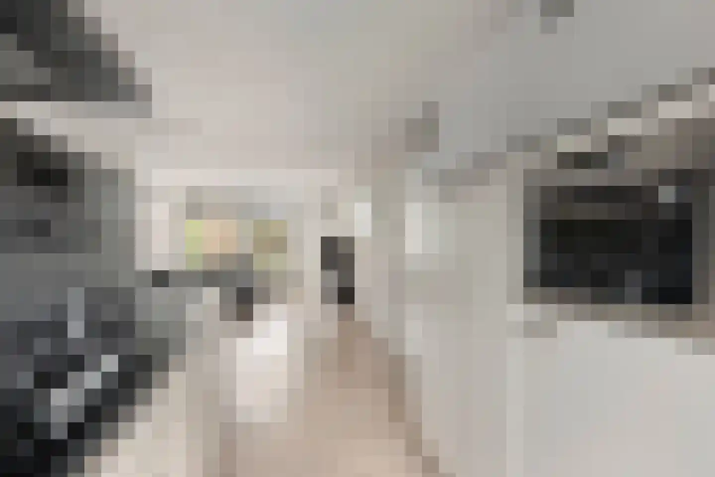 Corantijnstraat 4 Leiden thumbnail 9