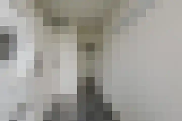 Corantijnstraat 9 Santpoort-Noord thumbnail 21