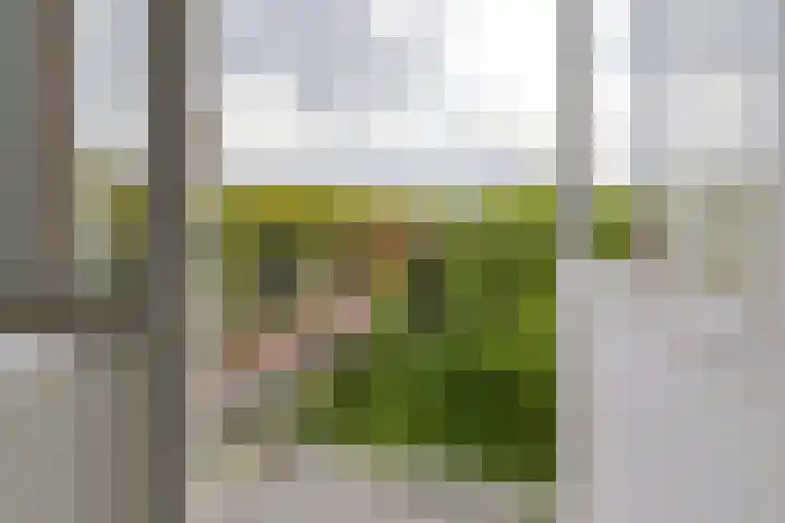 Corantijnstraat 9 Santpoort-Noord thumbnail 22