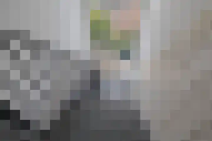 Corantijnstraat 9 Santpoort-Noord thumbnail 7