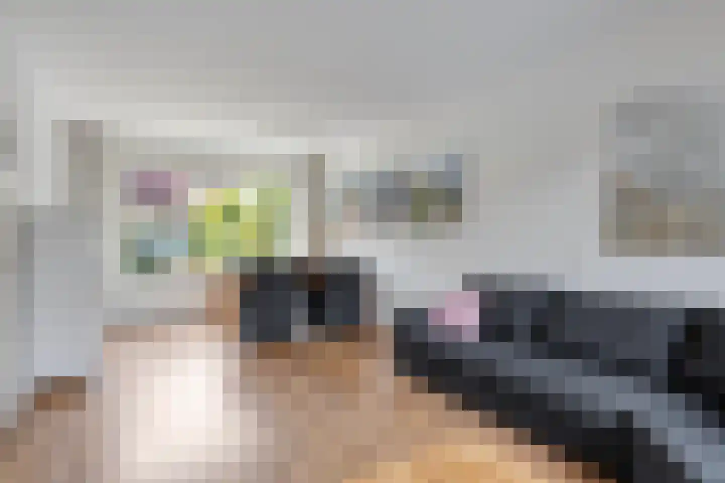 Corapad 3 Eindhoven thumbnail 10