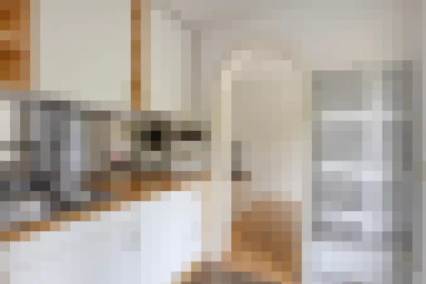 Corapad 3 Eindhoven thumbnail 14