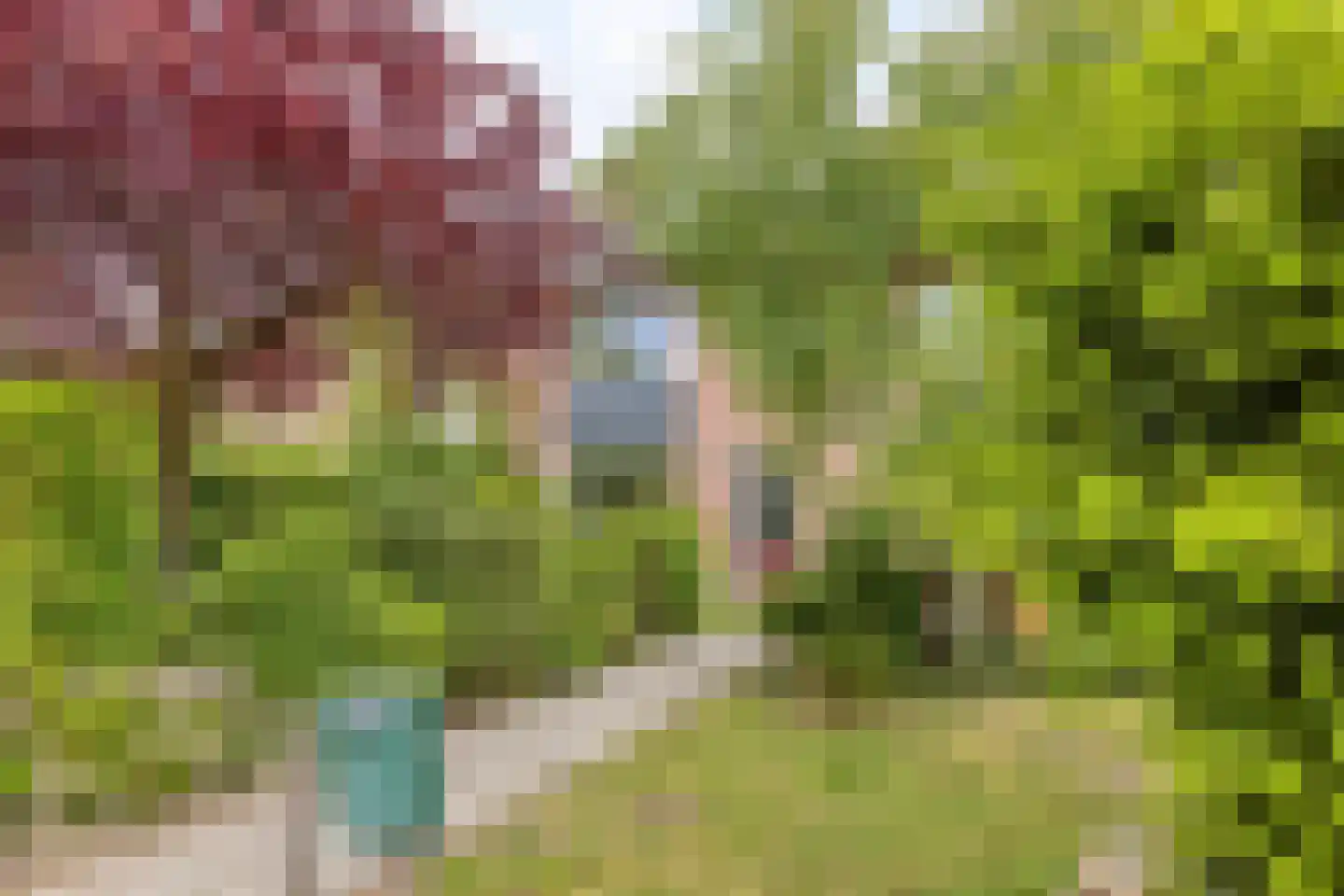Corapad 3 Eindhoven thumbnail 37