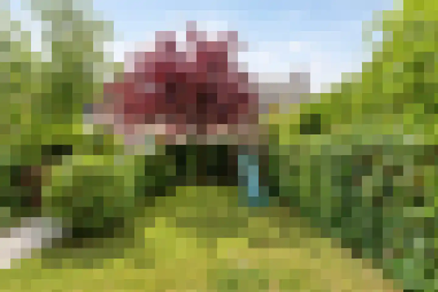 Corapad 3 Eindhoven thumbnail 38