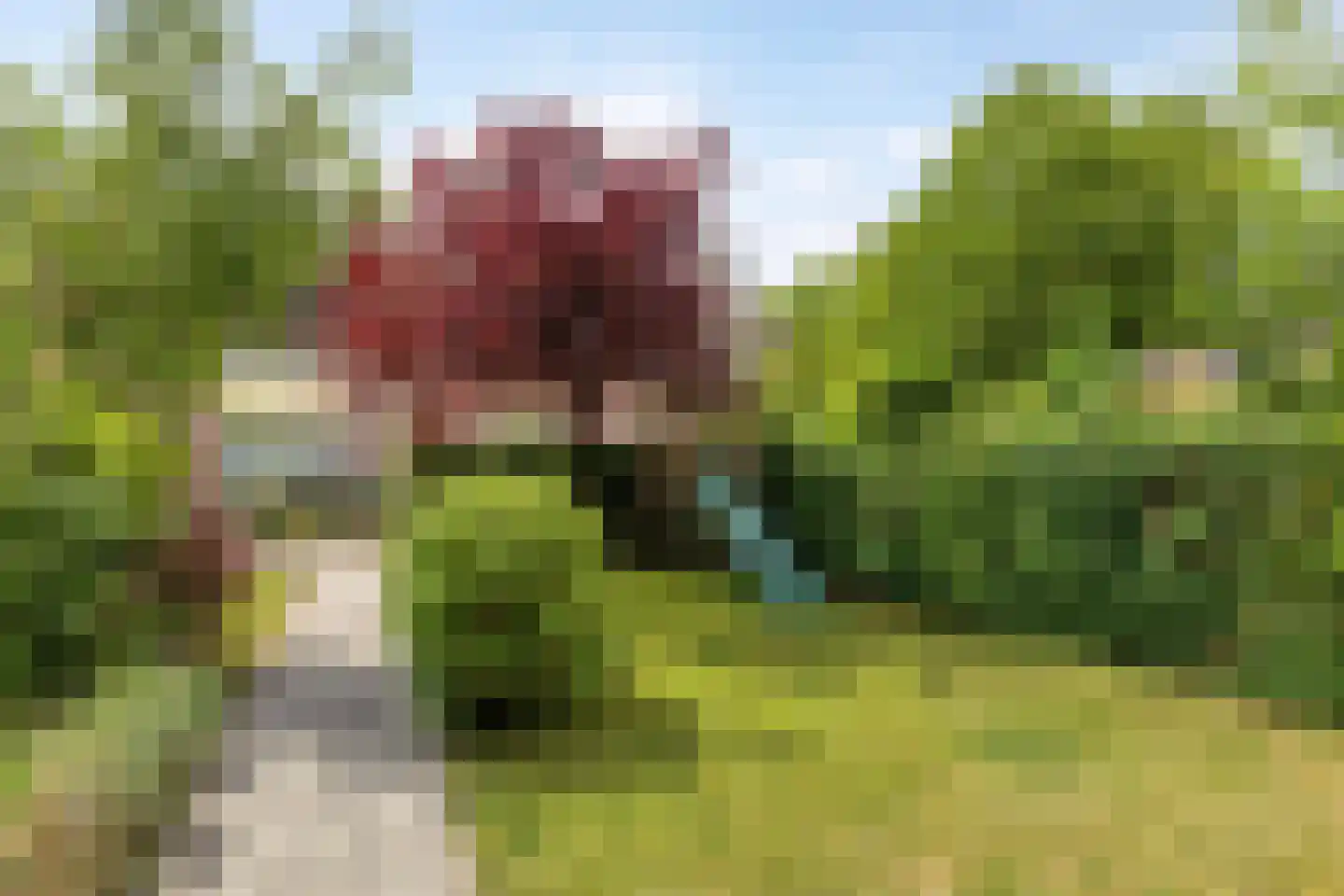 Corapad 3 Eindhoven thumbnail 39