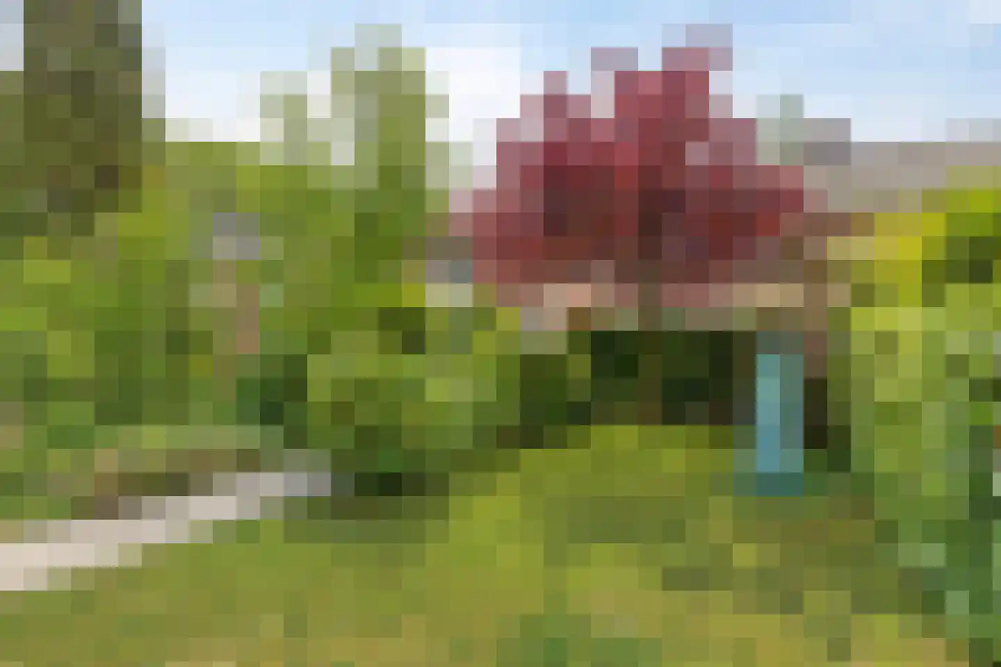 Corapad 3 Eindhoven thumbnail 5