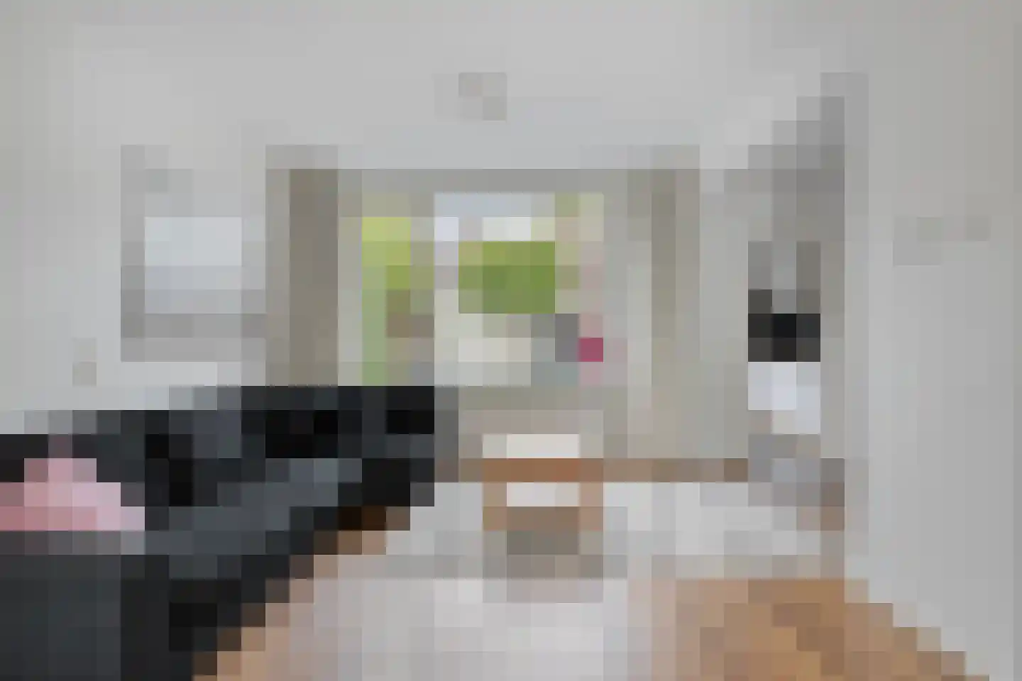 Corapad 3 Eindhoven thumbnail 8