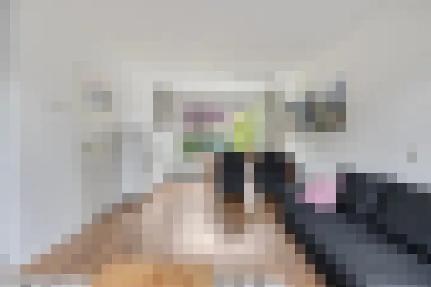 Corapad 3 Eindhoven thumbnail 9