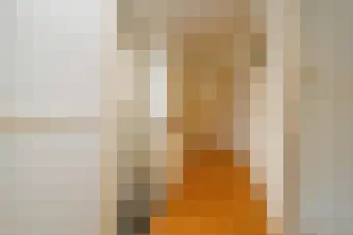 Corbulokade 1 Voorburg thumbnail 26