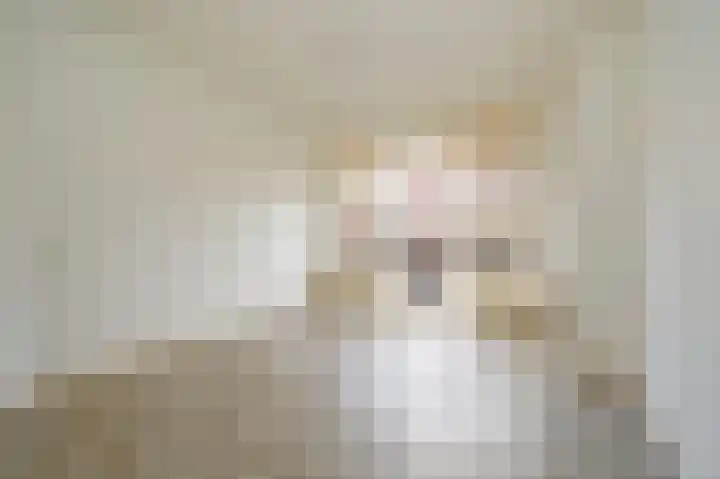 Corbulokade 1 Voorburg thumbnail 30