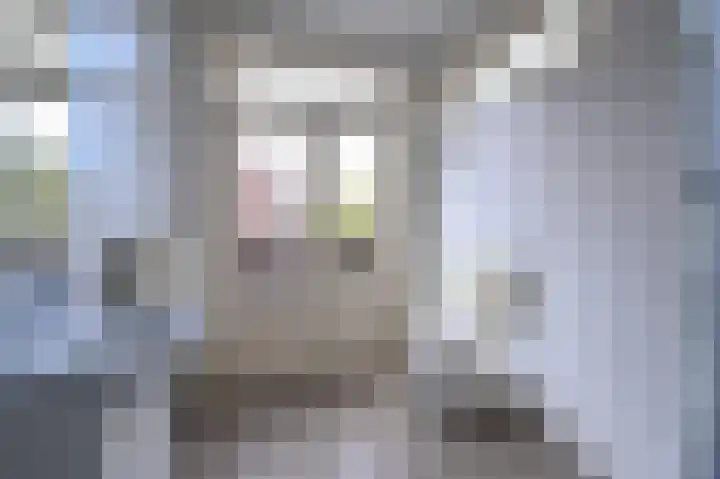 Corbulokade 1 Voorburg thumbnail 35