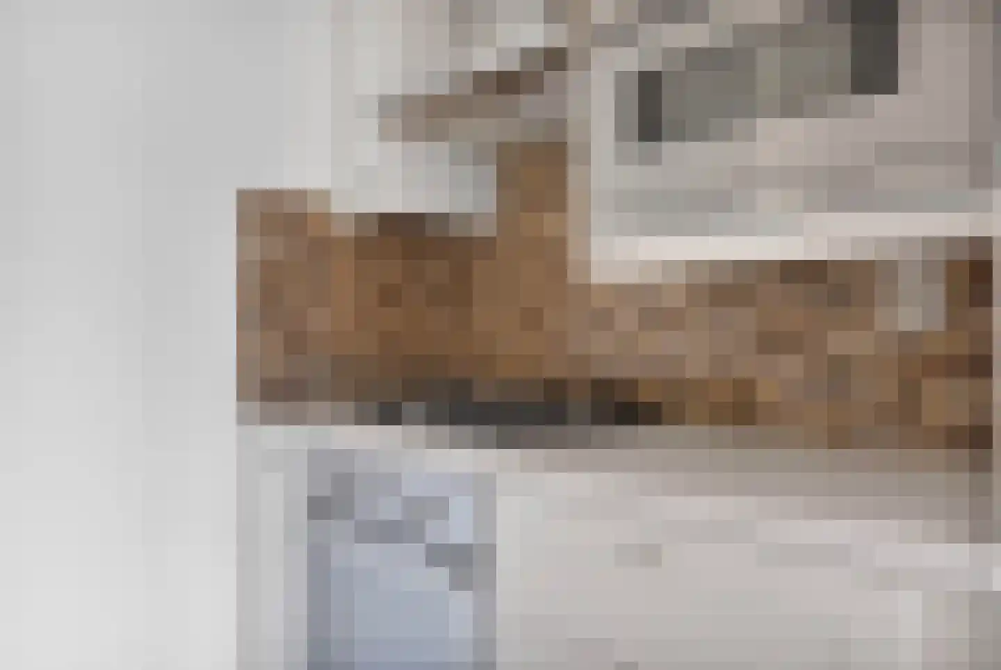 Corbulokade 18 Voorburg thumbnail 12