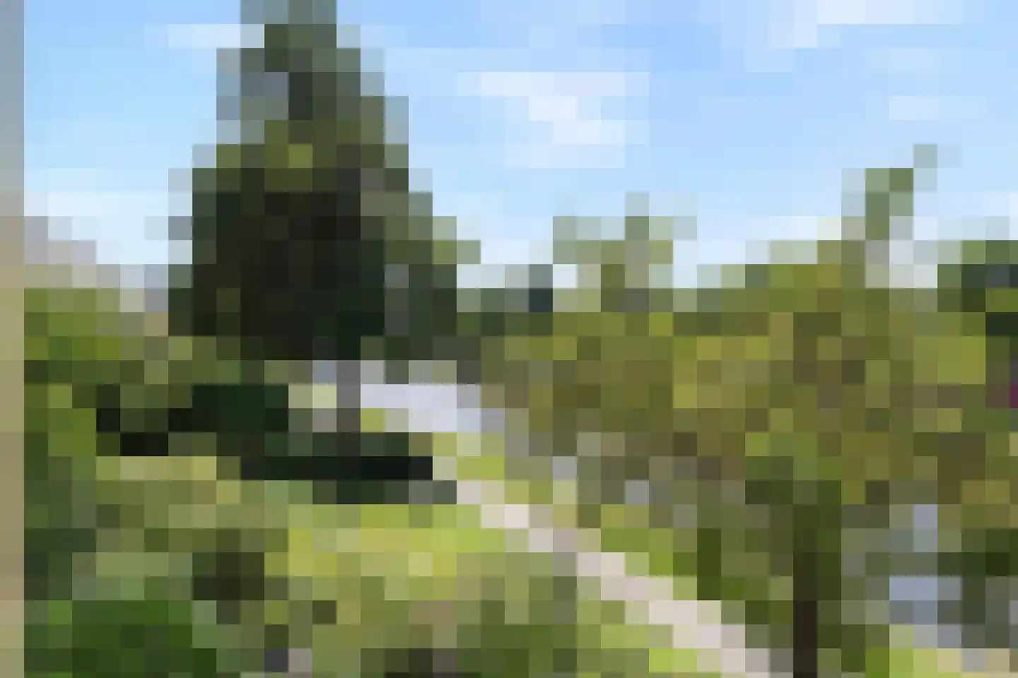 Corbulokade 18 Voorburg thumbnail 15