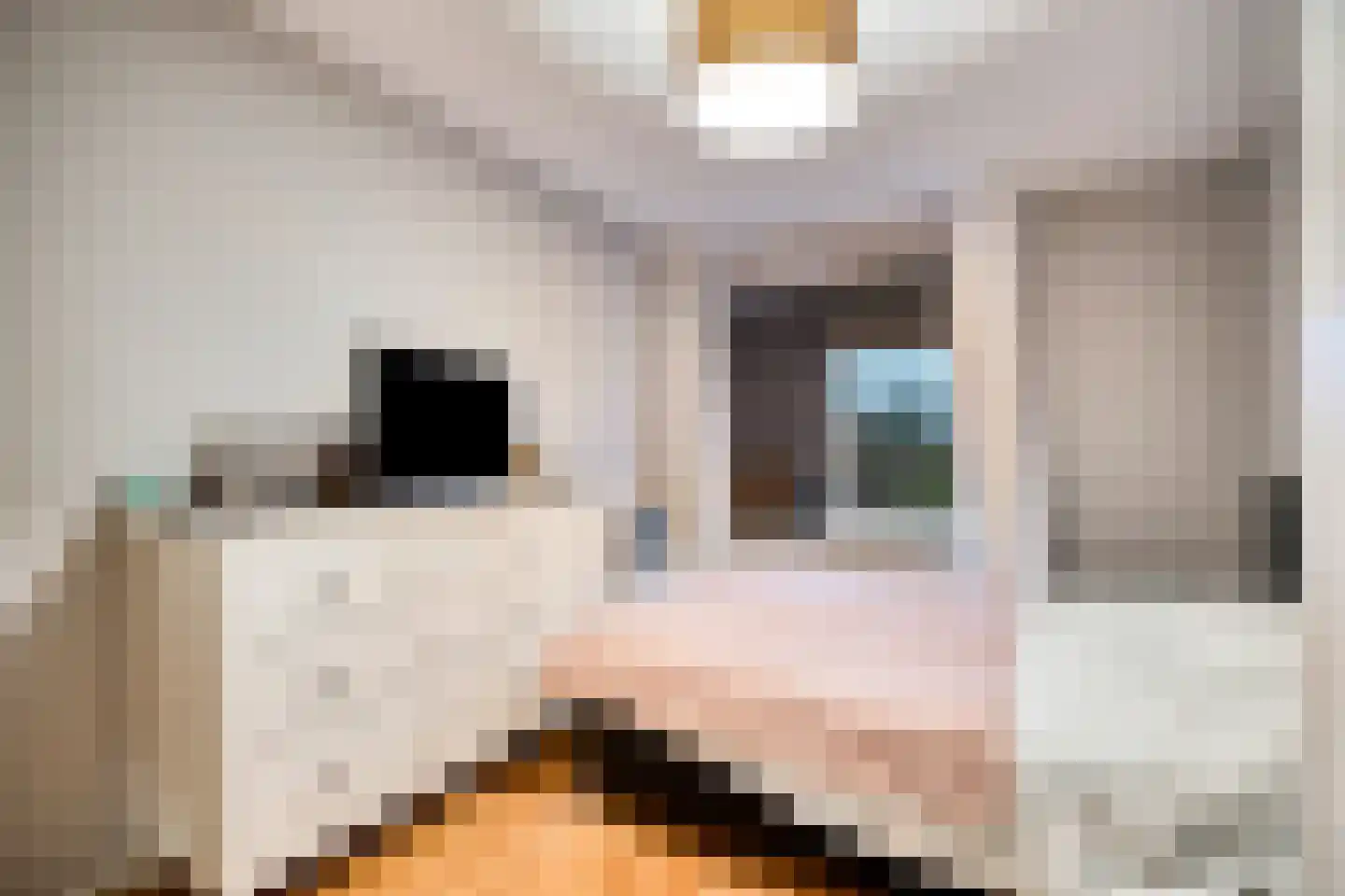 Corbulokade 23 Voorburg thumbnail 15