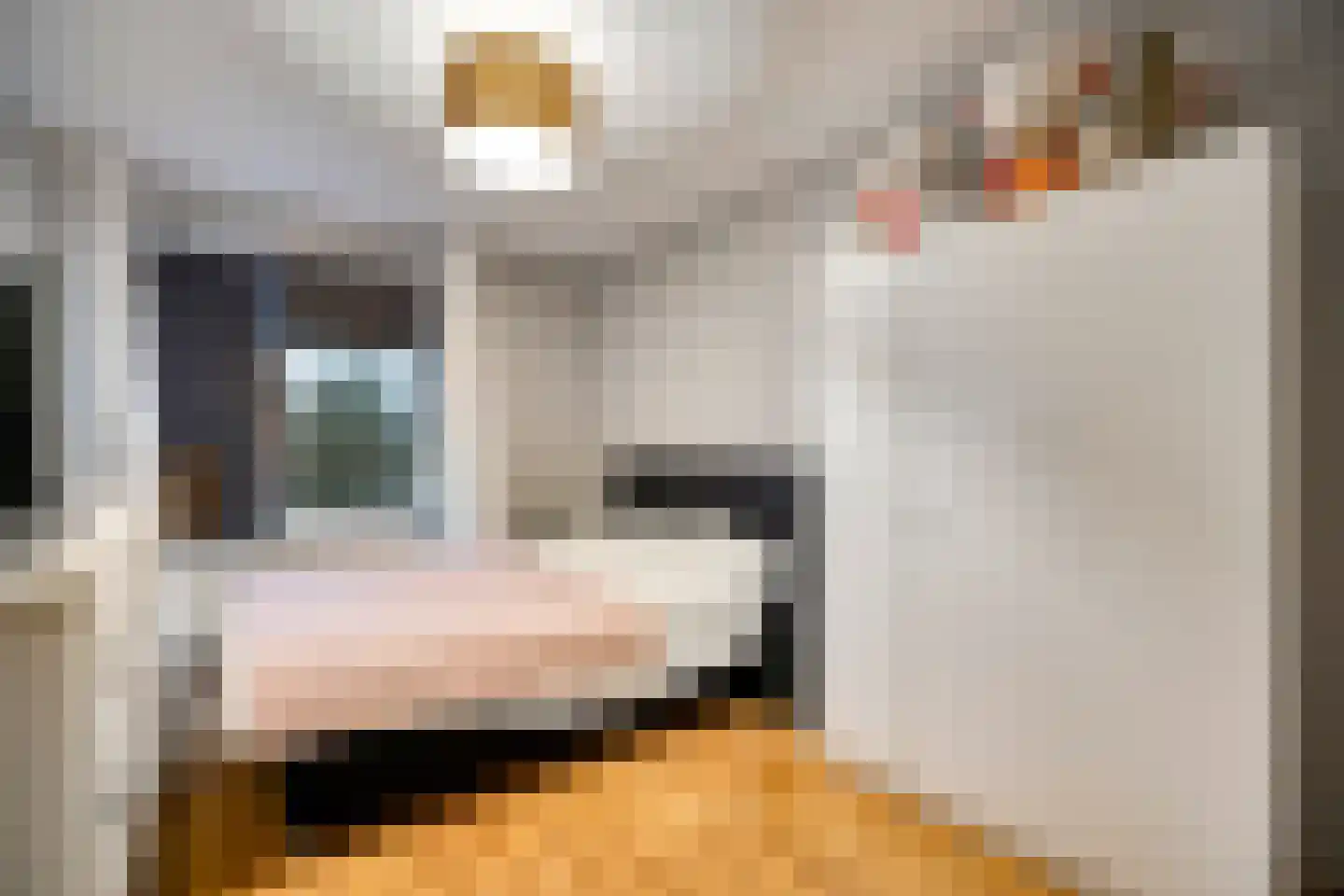 Corbulokade 23 Voorburg thumbnail 16