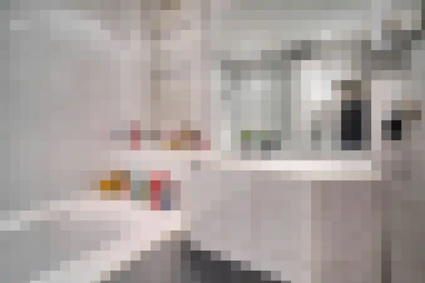 Corbulokade 23 Voorburg thumbnail 21