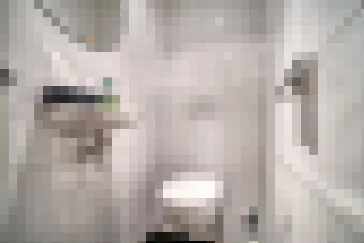 Corbulokade 23 Voorburg thumbnail 23