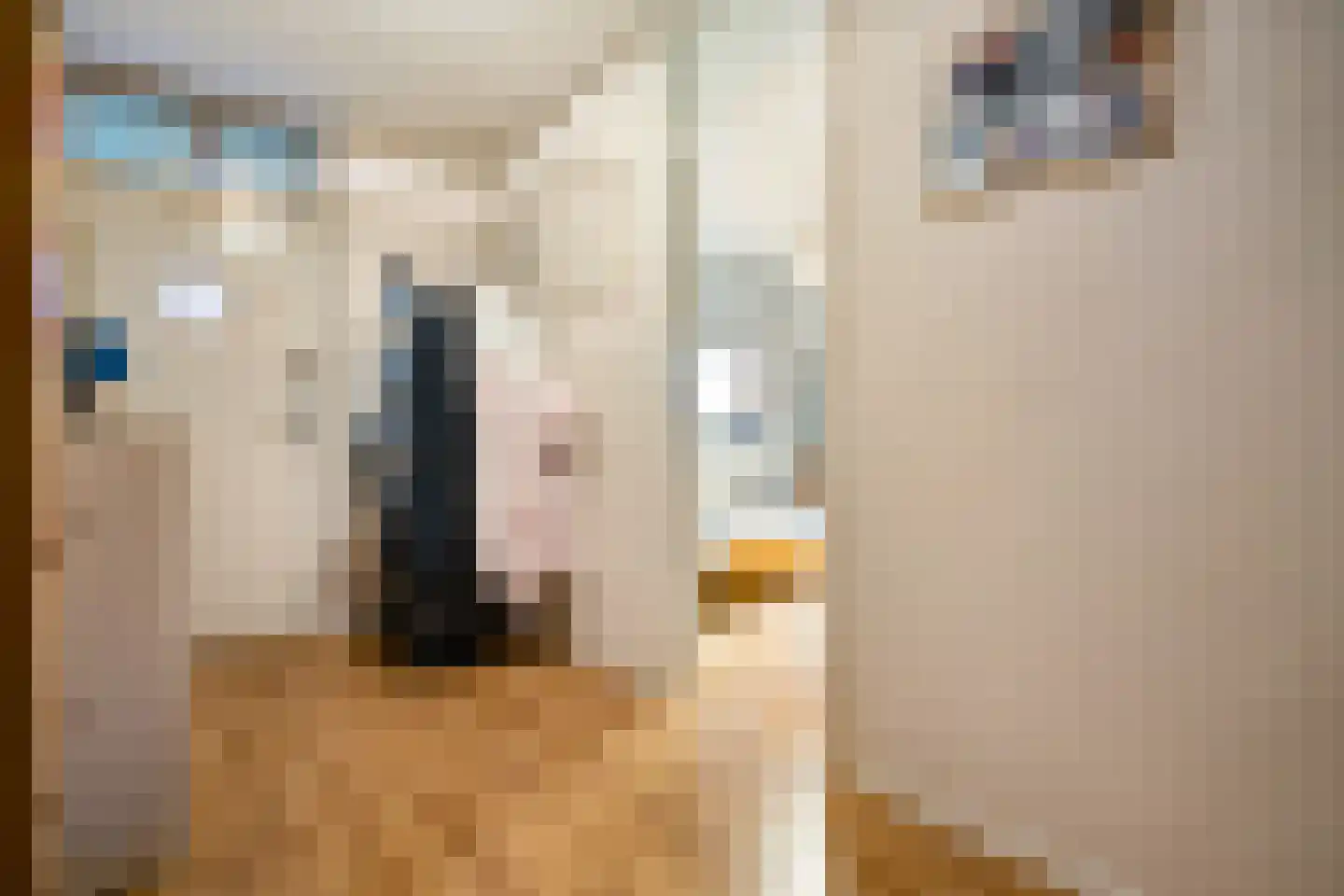 Corbulokade 23 Voorburg thumbnail 25