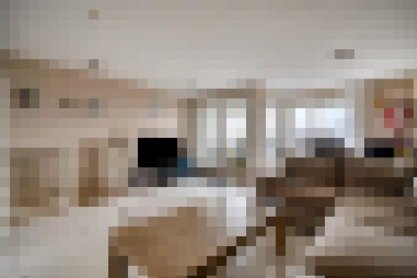 Corbulokade 23 Voorburg thumbnail 4