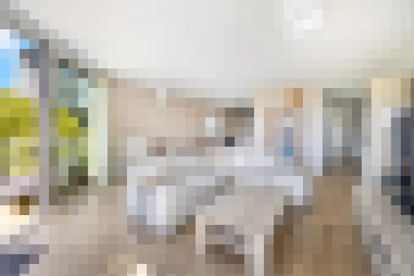 Corbulokade 40 Voorburg thumbnail 11
